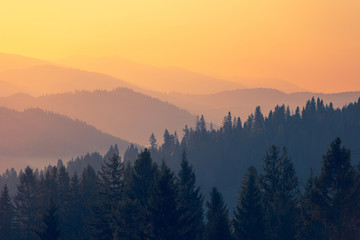 2分钟秒懂！YY衡阳字牌辅牌器购买(助手神器外辅工具)