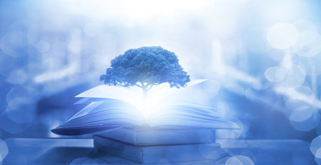 2分钟秒懂!一手好牌辅牌器购买(助手神器外辅工具)